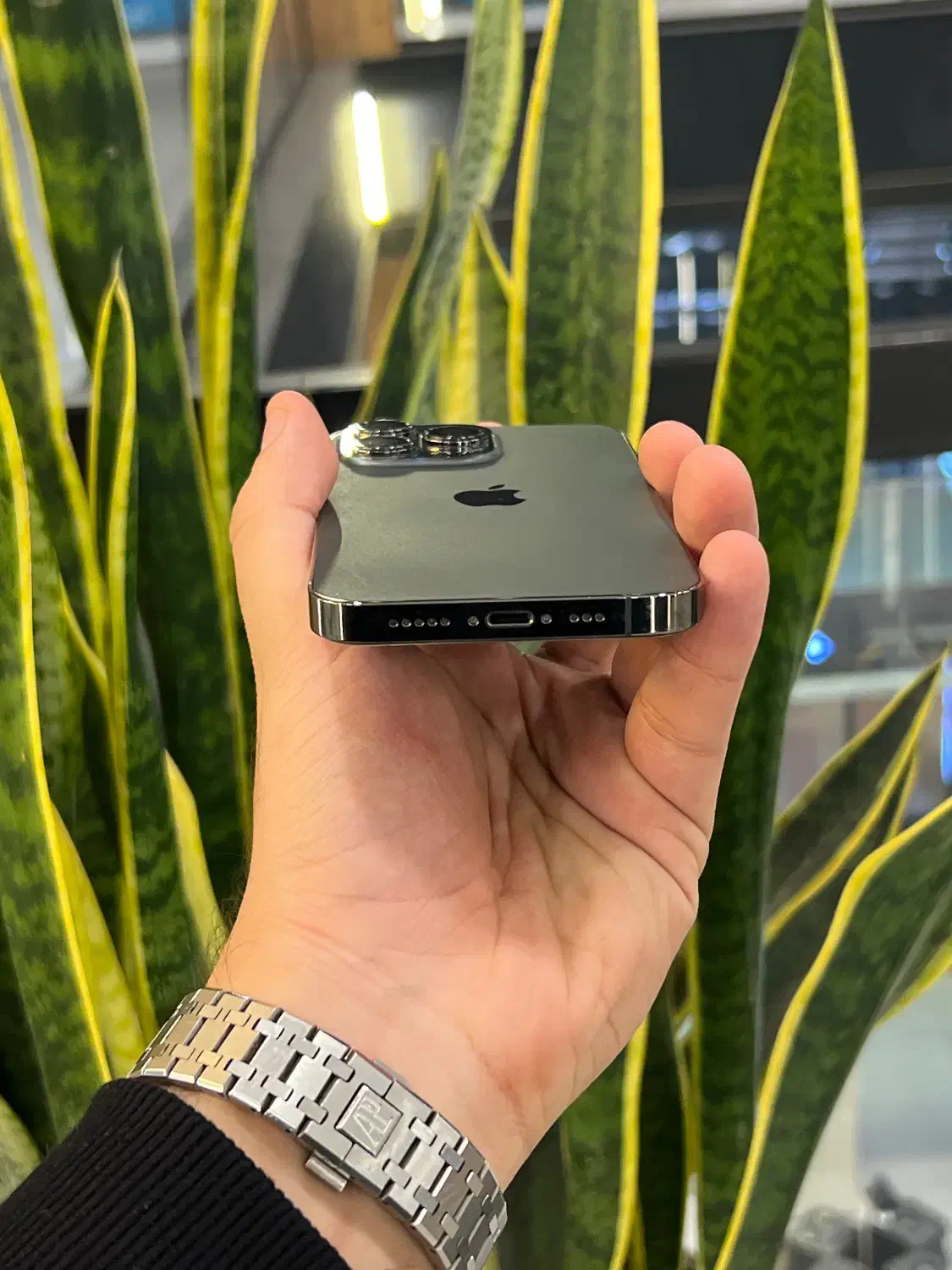 اپل ۱۳پرو|موبایل|رشت, چله خانه|دیوار