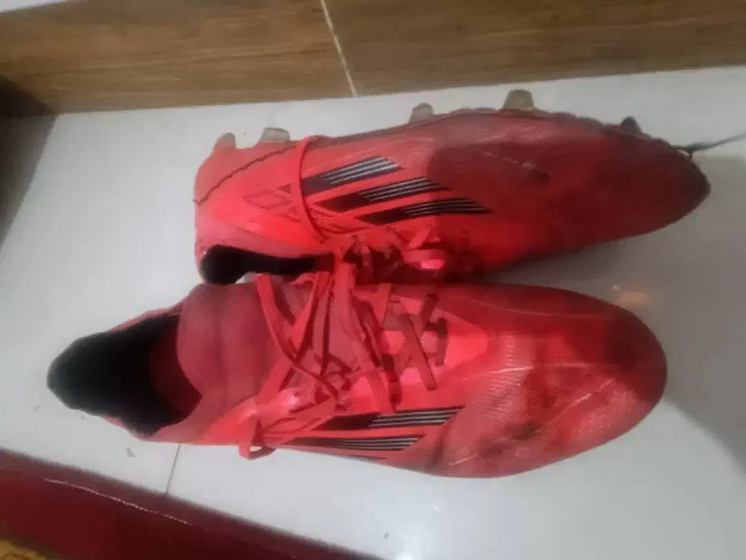 کفش استوک فوتبال|کیف، کفش، کمربند|پرند, فاز ۴|دیوار