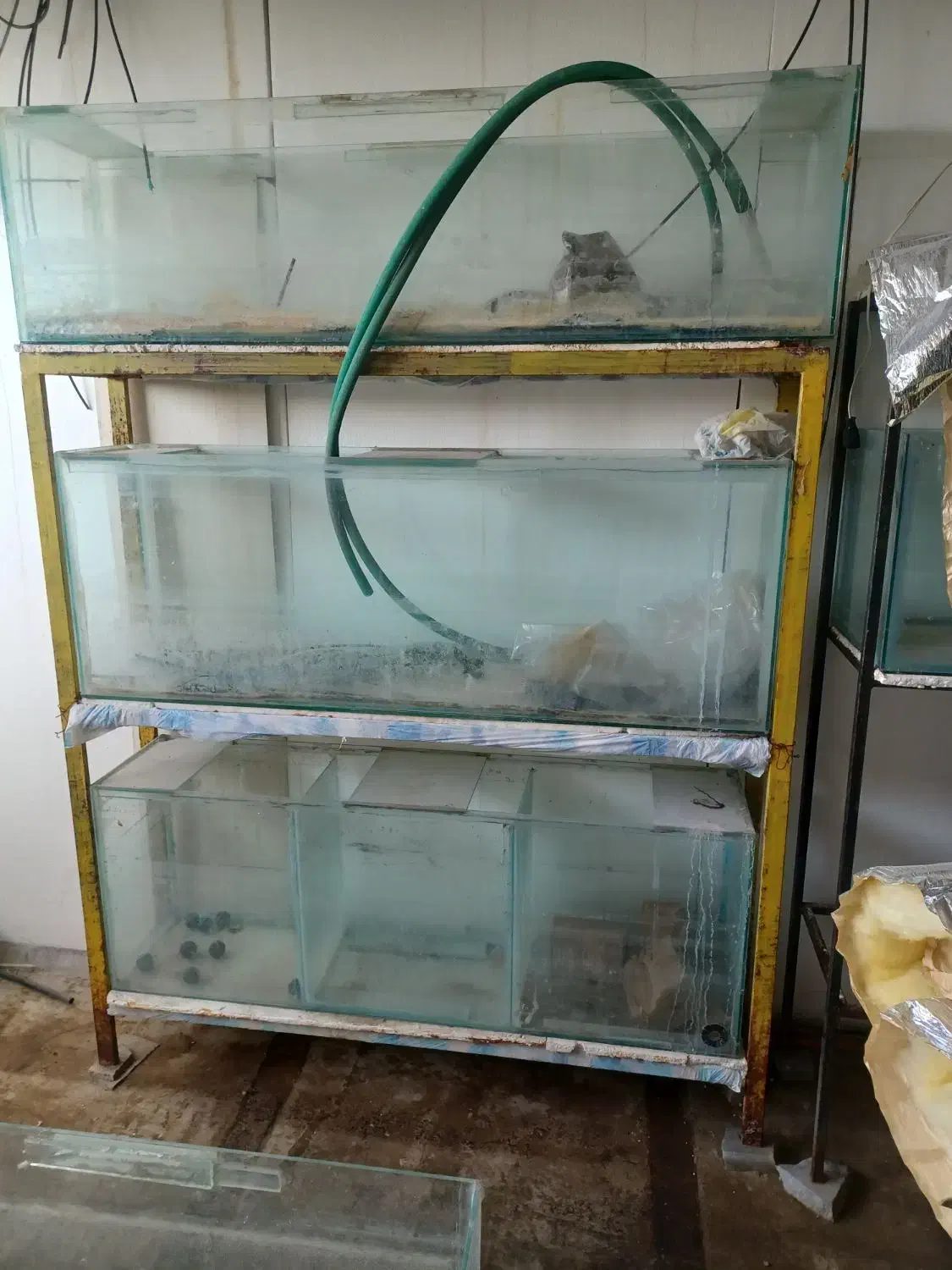 اکواریوم سالنی|ماهی|برخوار, |دیوار