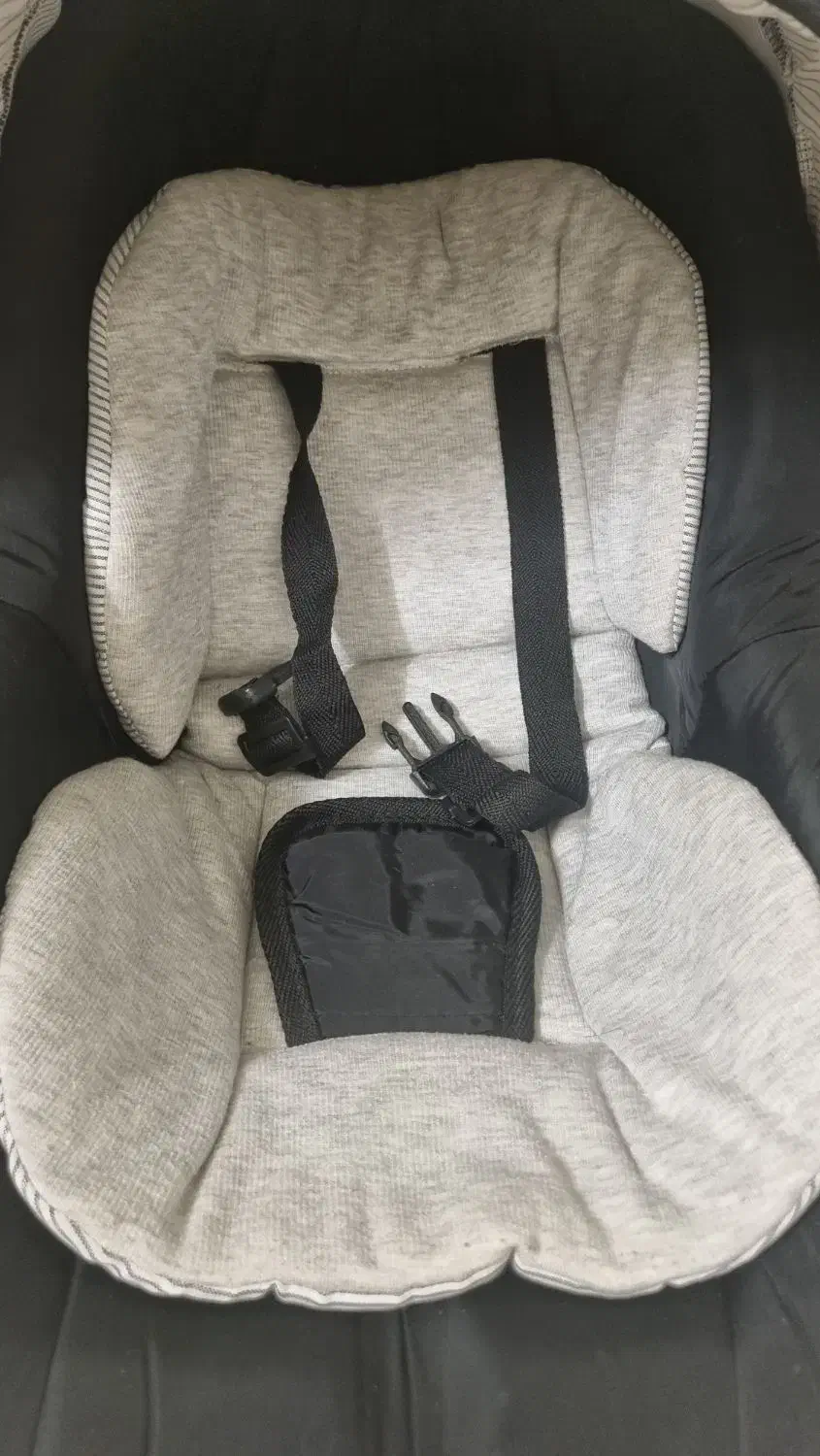 کریر دلیجان|کالسکه و لوازم جانبی|بیرجند, |دیوار