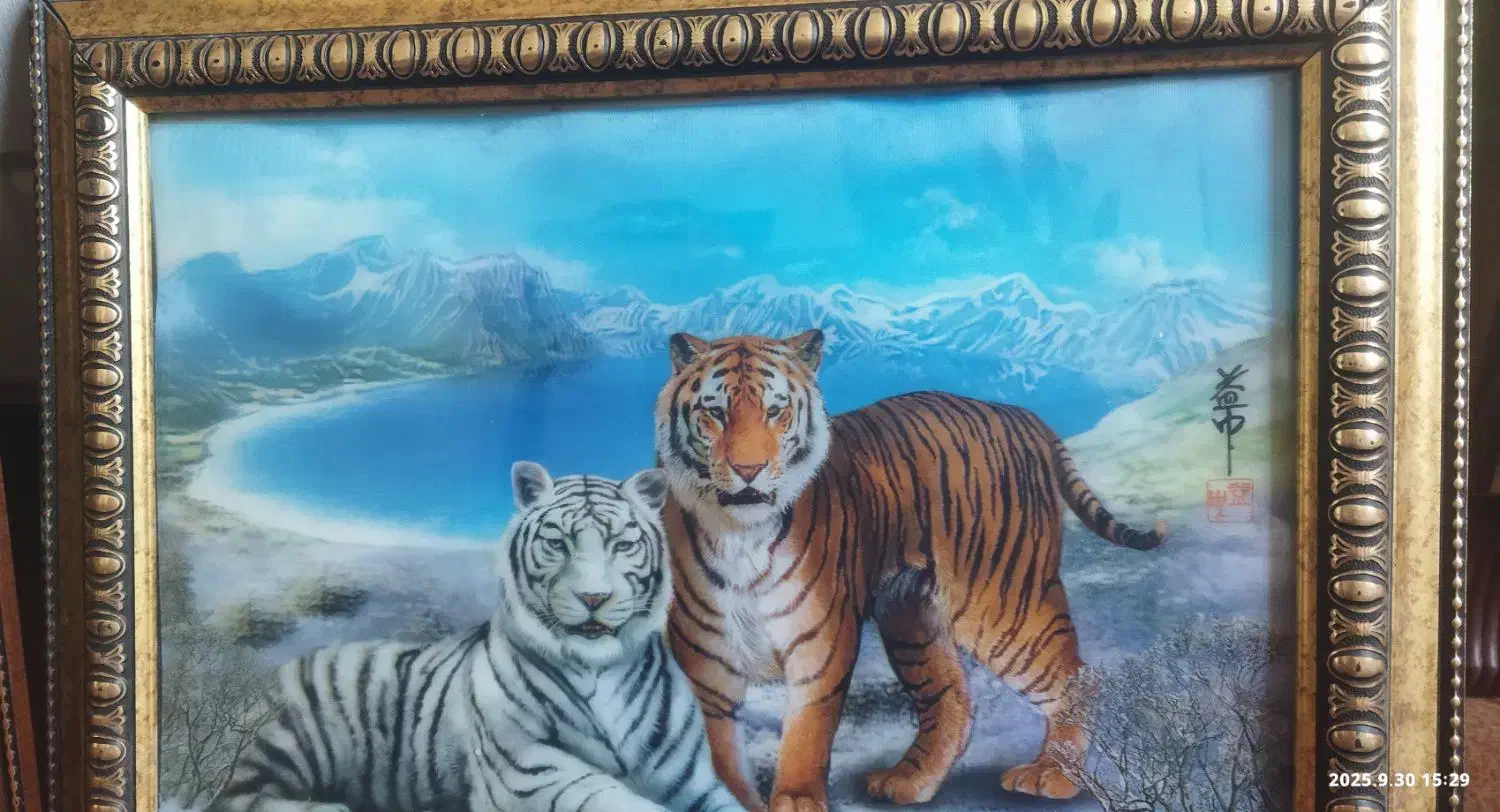 تابلو شاهین و ببرسه بعدی|فروشگاه و مغازه|کهک, |دیوار