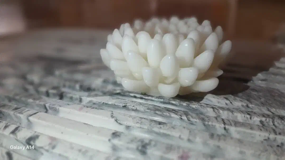 شمع داودی|صنایع دستی و سایر لوازم تزئینی|تهران, مجیدیه|دیوار