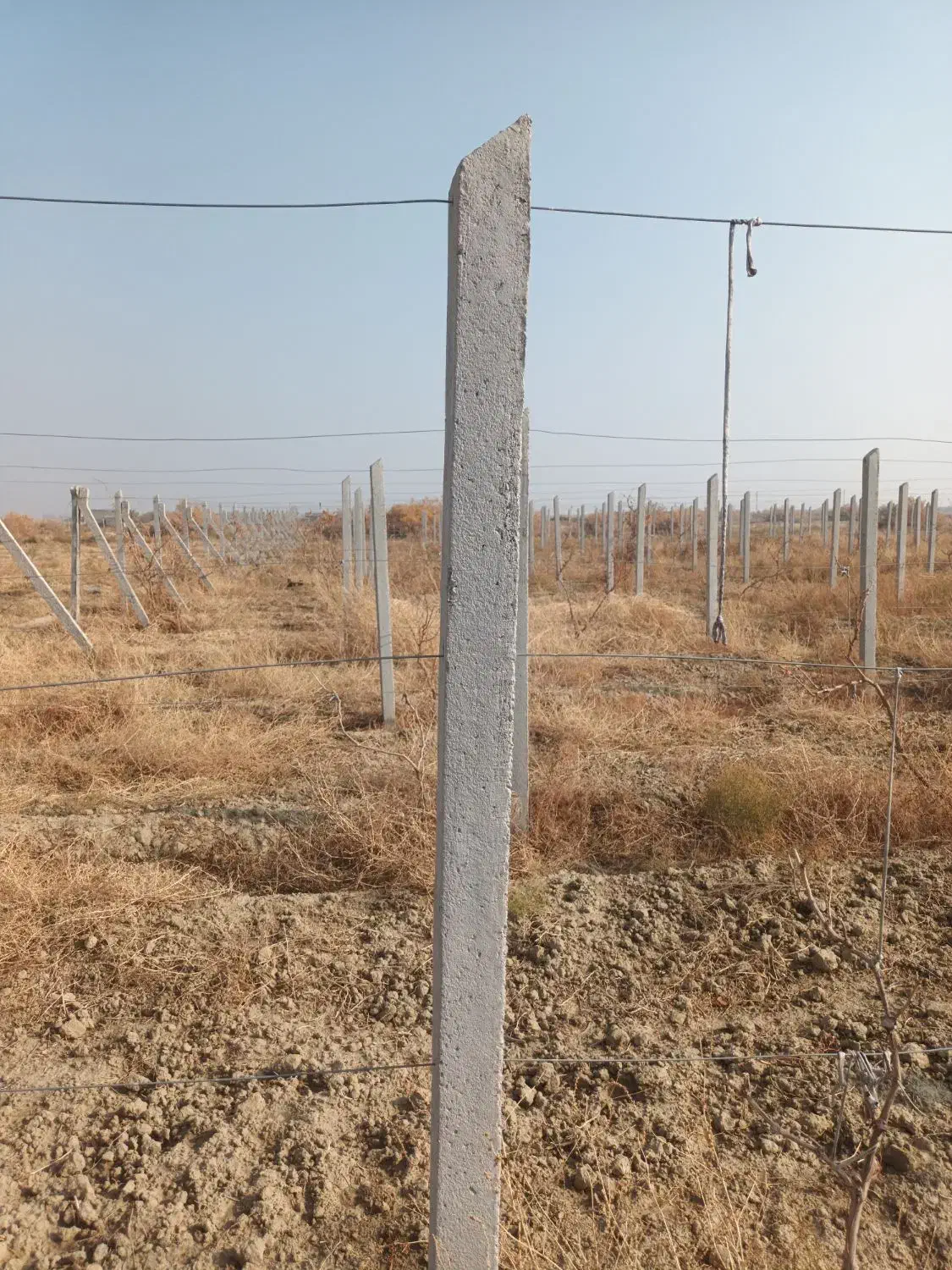 تیرچه باغی|مصالح و تجهیزات ساختمان|نوشین شهر, |دیوار