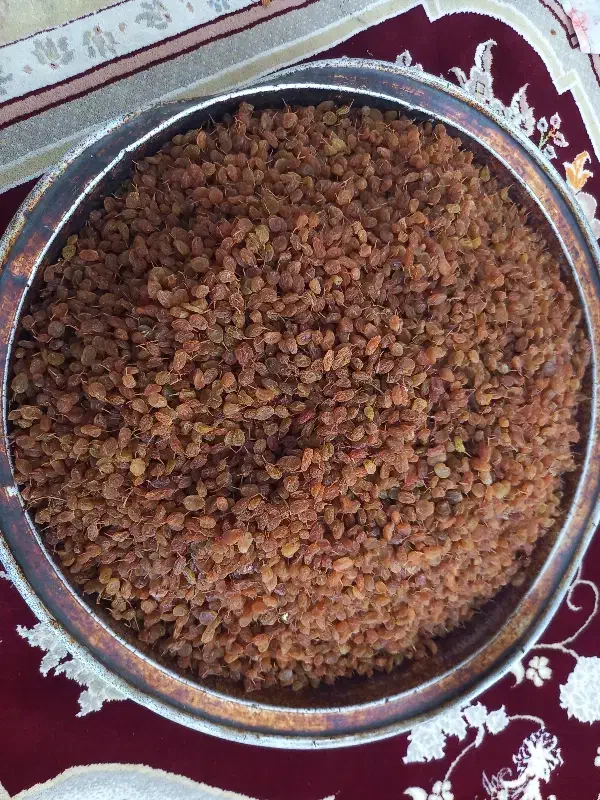 کشمش درجه یک دستچین|خوردنی و آشامیدنی|کامیاران, |دیوار