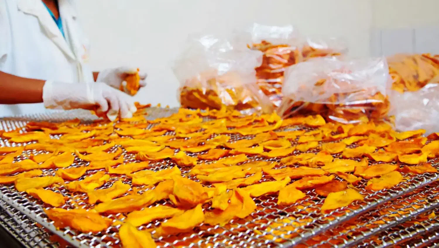 دستگاه خشک کن میوه سبزی توربینی تحت وب 750kg|ماشینآلات صنعتی|مشهد, کاظم آباد پنجشنبه|دیوار