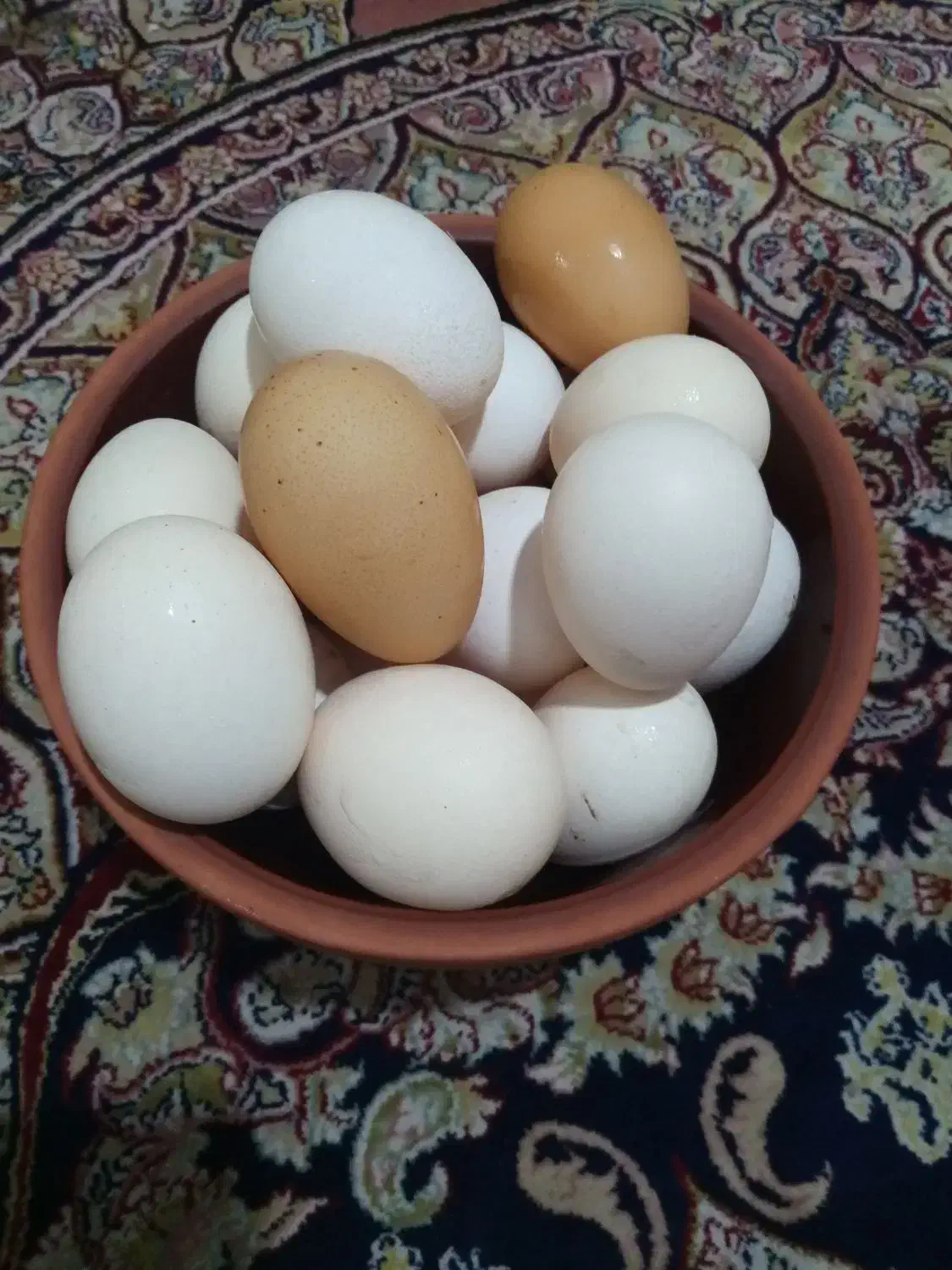 تخم مرغ رسمی|خوردنی و آشامیدنی|قم, شاه ابراهیم|دیوار