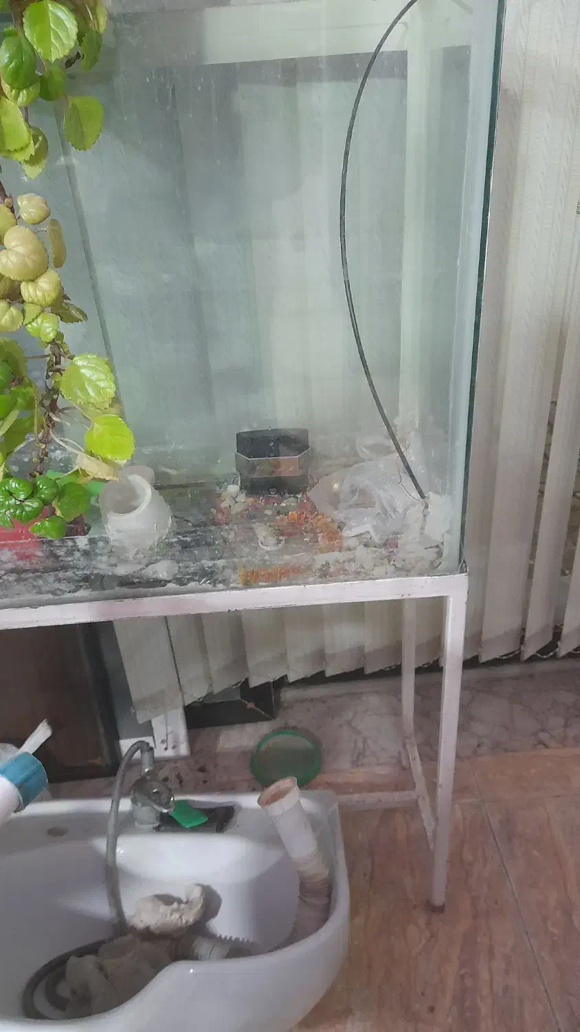 آکواریوم بزرگ با پایه|ماهی|آشخانه, |دیوار