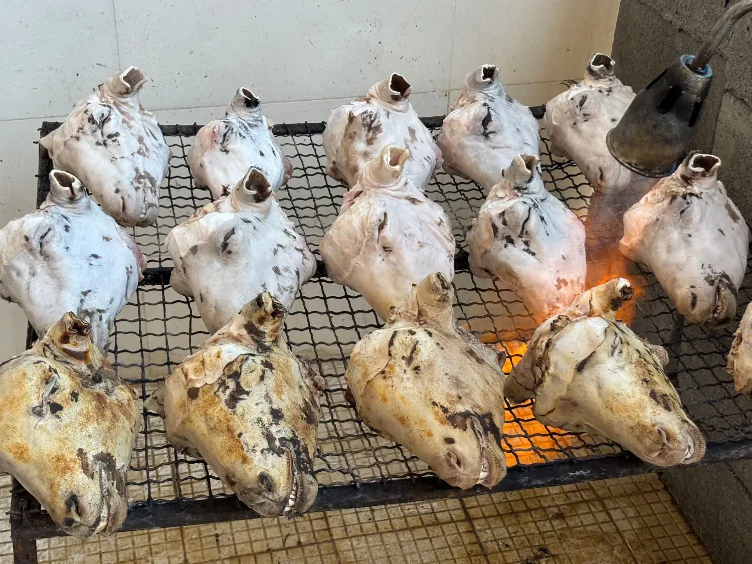 خوش عطر ترین گوشت حلال گوسفندی|خدمات پذیرایی، مراسم|ری, شهرری|دیوار