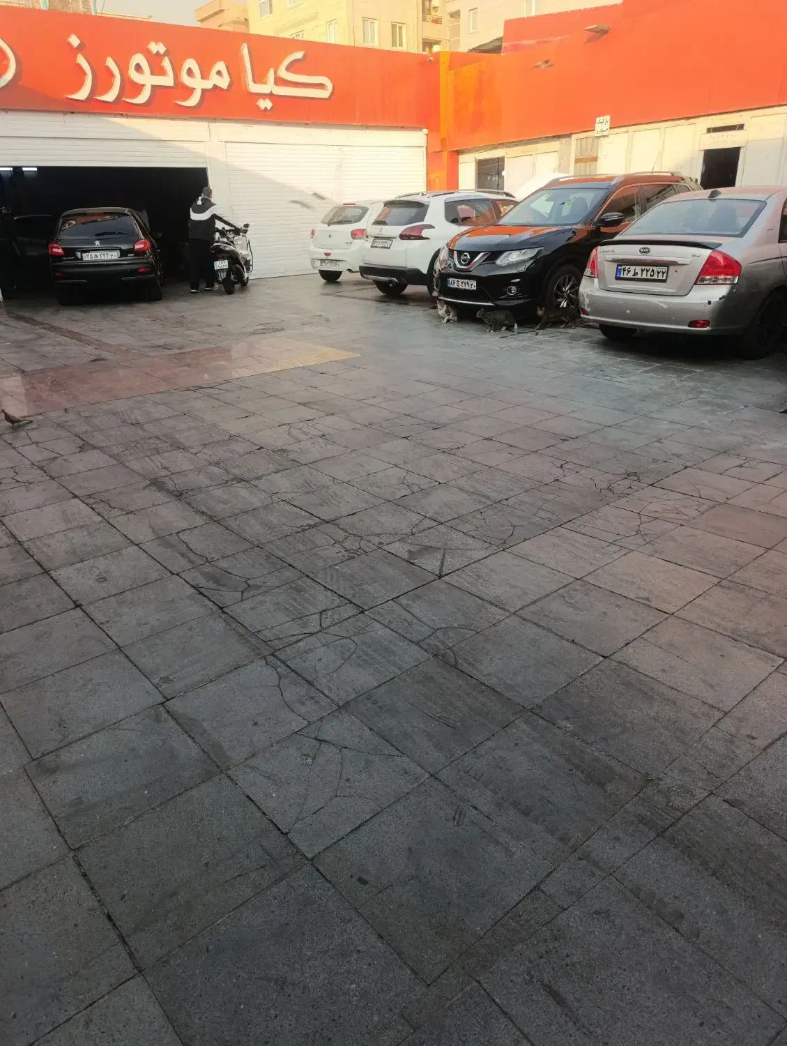 نگهبان و سرایدار|استخدام سرایداری و نظافت|تهران, حر|دیوار