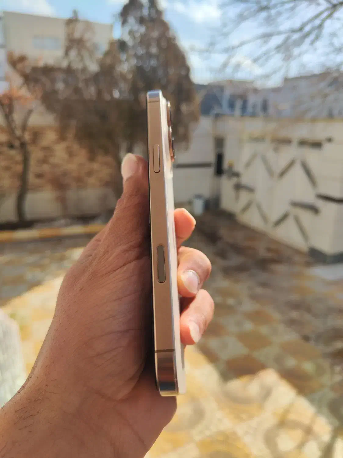 آیفون 16پرو مکس 256گیگ zaa|موبایل|فامنین, |دیوار