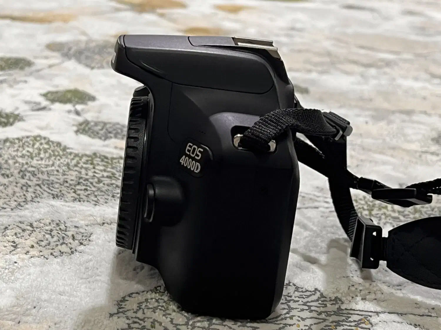 دوربین عکاسی|دوربین عکاسی و فیلمبرداری|مریوان, |دیوار