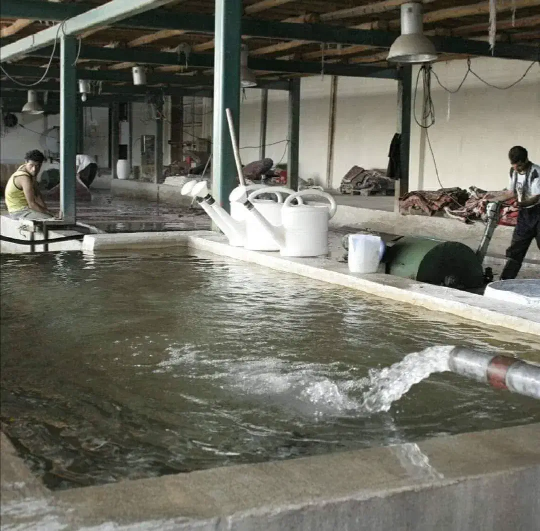 قالیشویی ومبلشویی تخصصی شرق وغرب تهران|خدمات نظافت|تهران, سبلان (لشگر)|دیوار