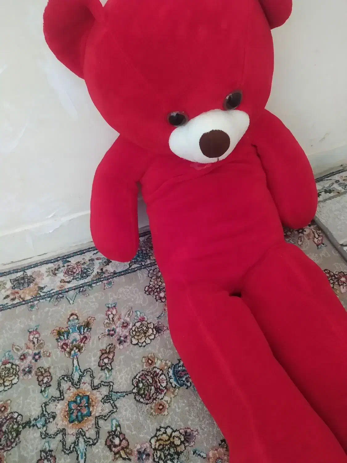 خرس شاسخین|اسباب‌بازی بچه|شیروان (خراسان), |دیوار