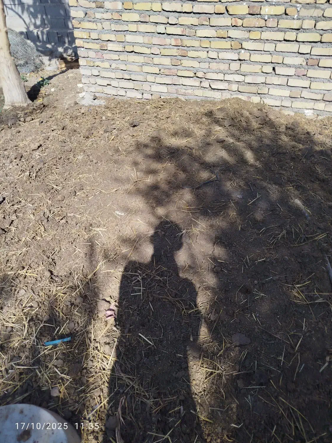 دونیسان پهن گاوی به فروش میرسد|لوازم جانبی حیوانات|گیلوان, |دیوار