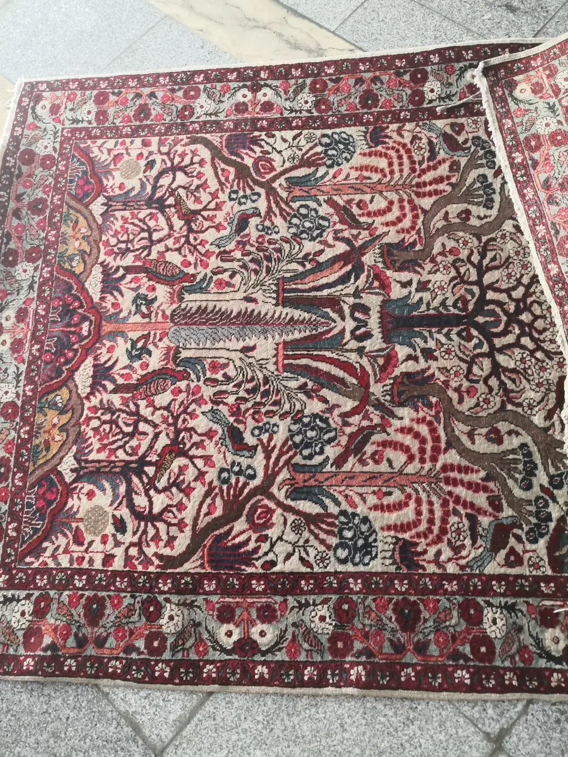 فرش دست باف آنتیک|فرش|تهران, سید خندان (جلفا)|دیوار