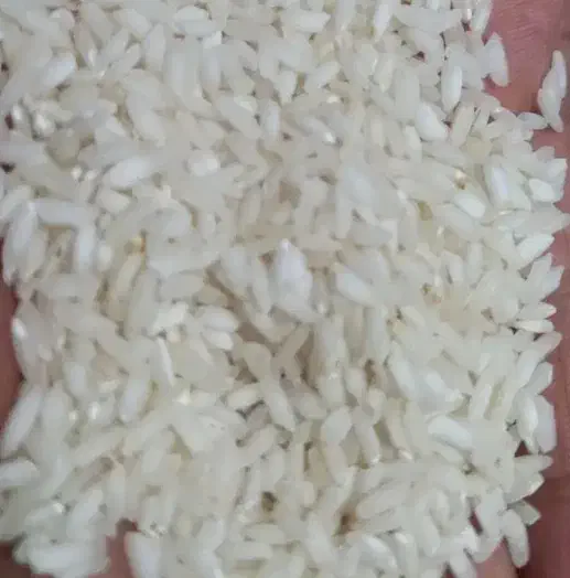 برنج عنبر بو تیلکی|خوردنی و آشامیدنی|شوشتر, |دیوار