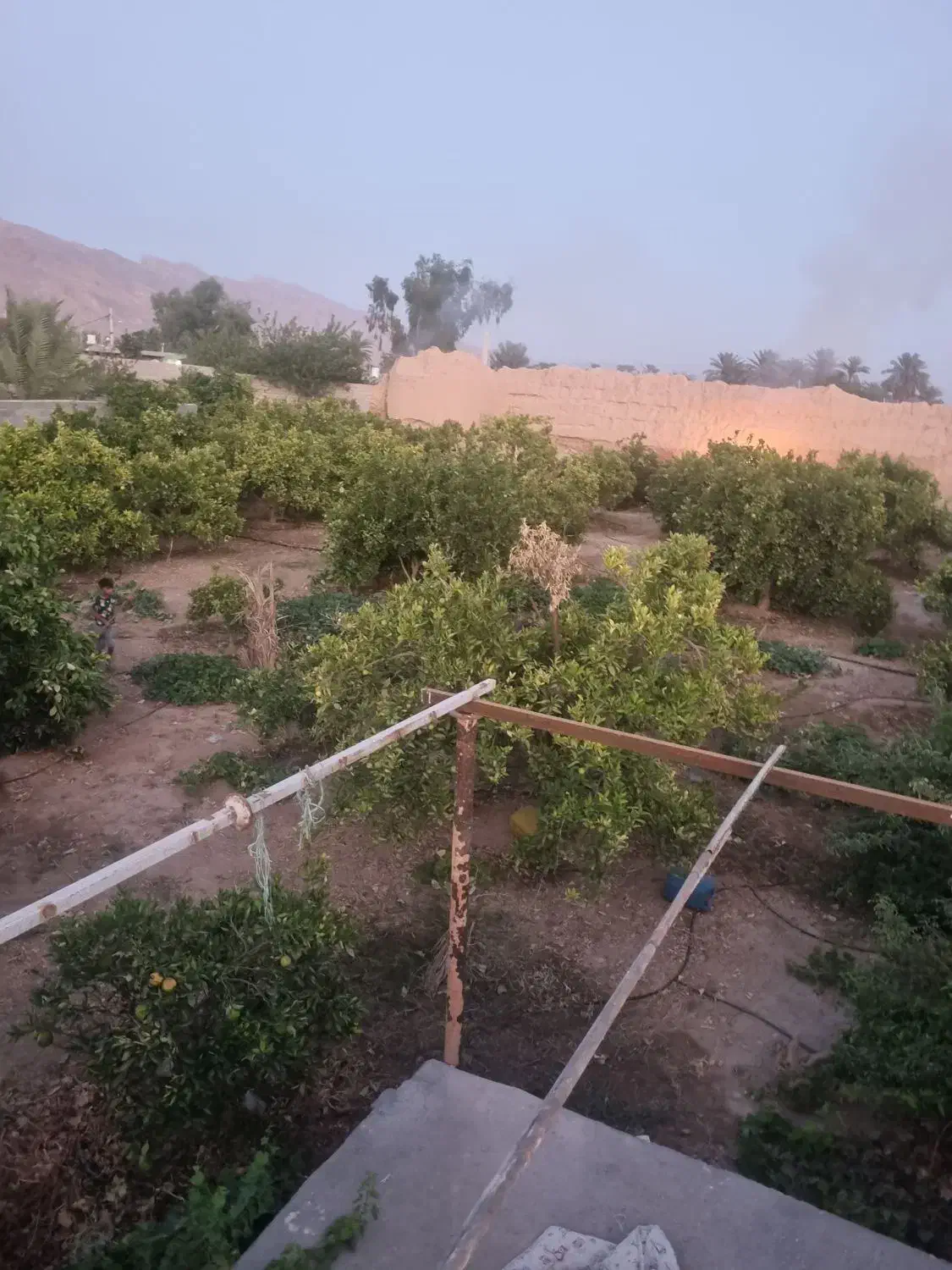 باغ|فروش زمین و ملک کلنگی|جنت, |دیوار