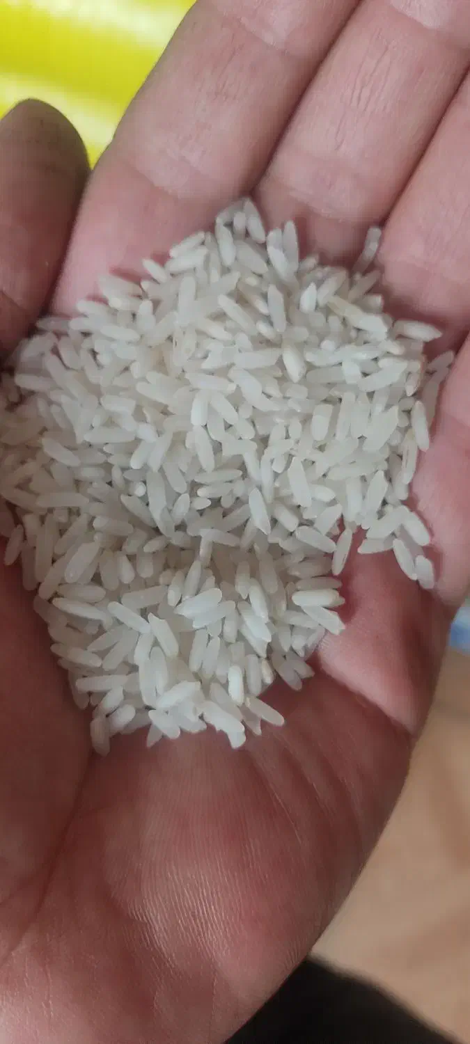 برنج پاکستانی(طرح حمایتی) با پخت تضمینی|خوردنی و آشامیدنی|تبریز, |دیوار