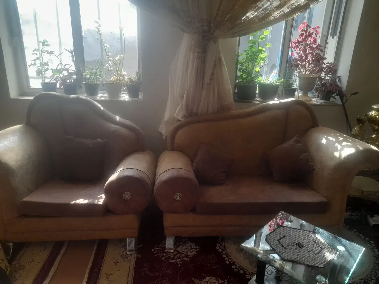 مبل راحتی راش|مبلمان خانگی و میز عسلی|هشترود, |دیوار