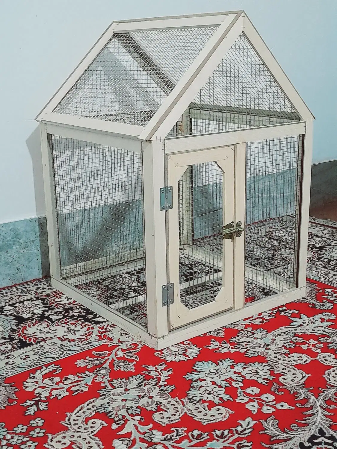 قفس|پرنده|بیرجند, |دیوار