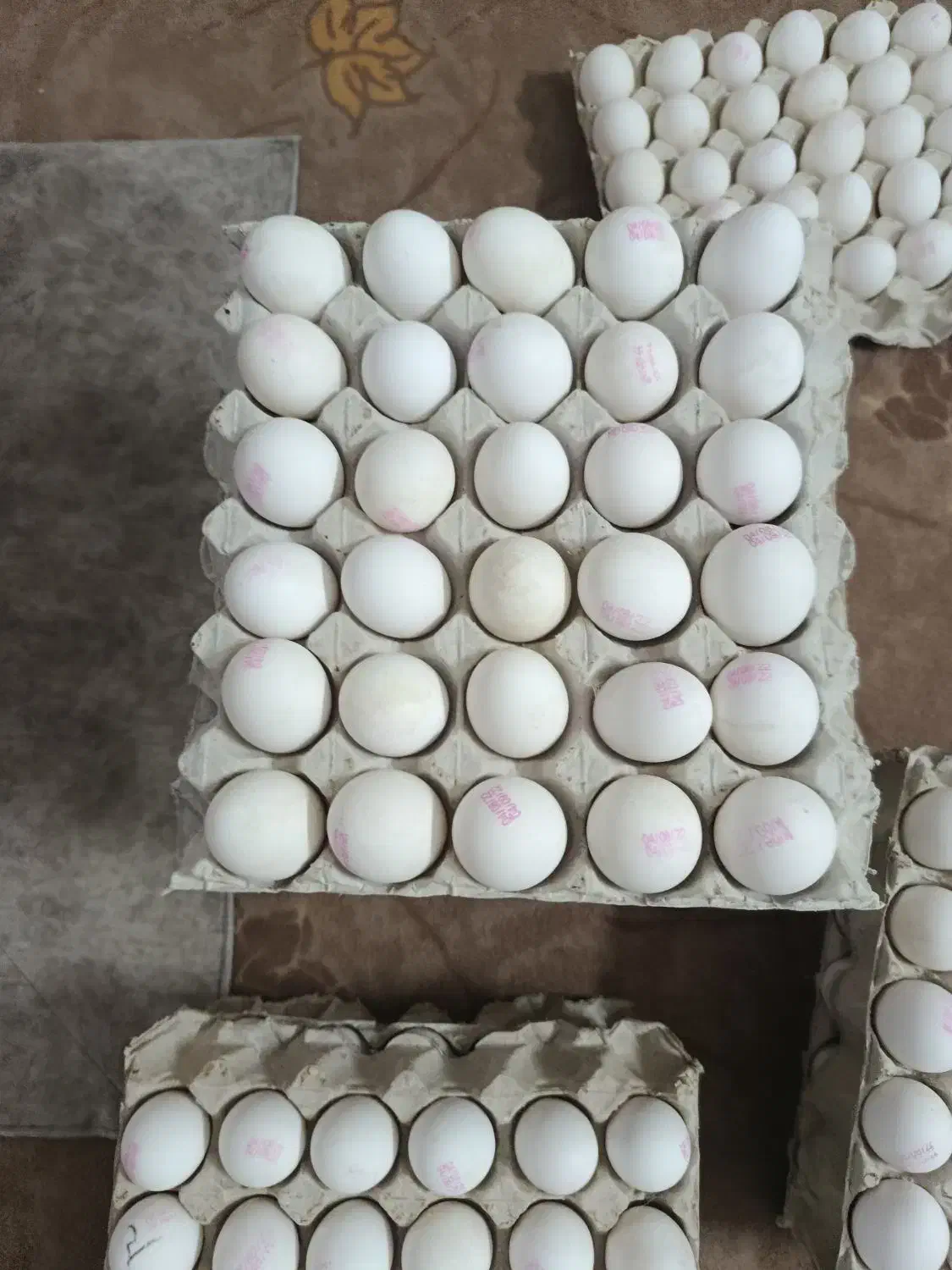 تخم مرغ وزن. 10 کیلو کودی|خوردنی و آشامیدنی|بهارستان, |دیوار