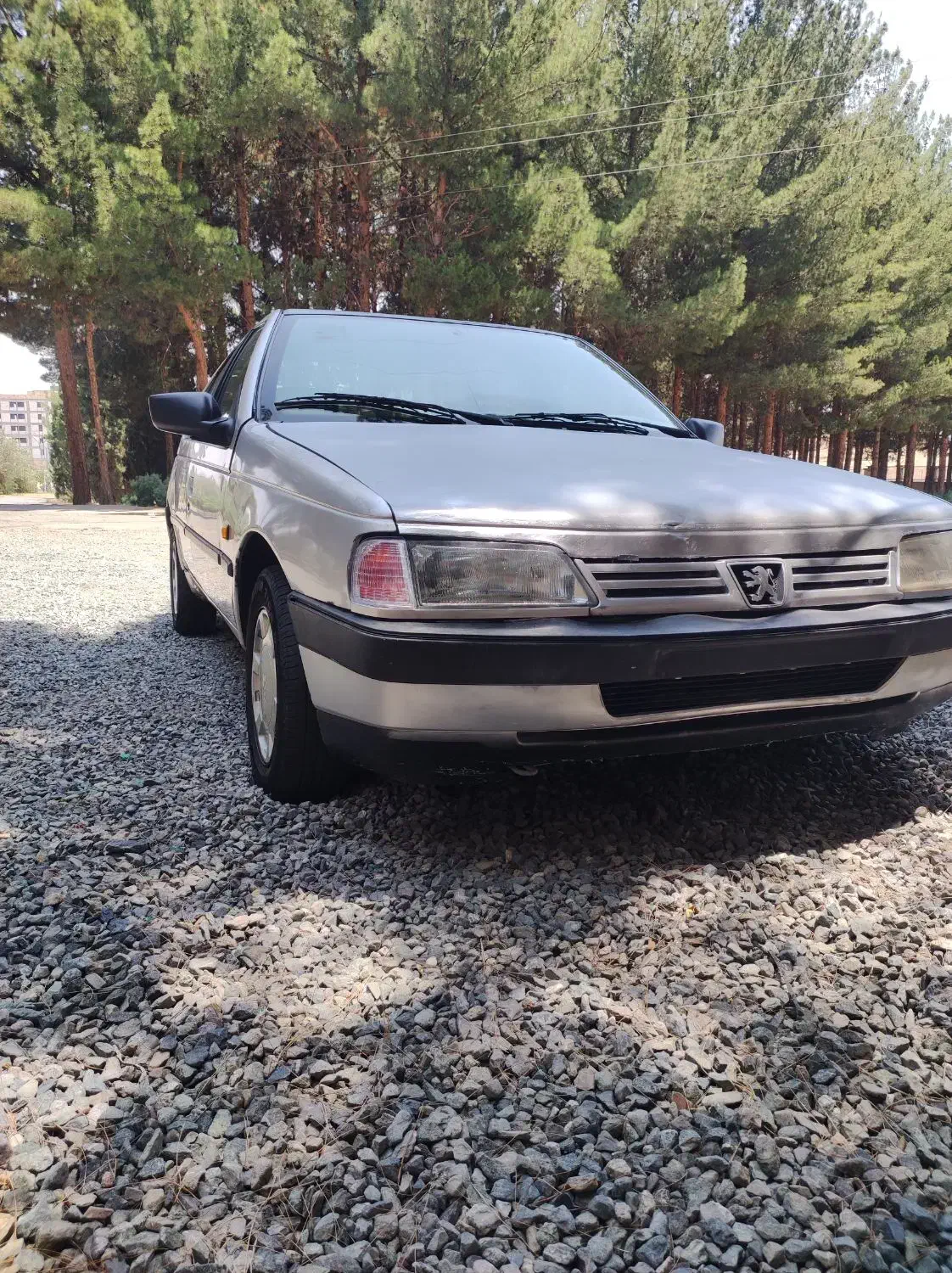 روا|خودرو سواری و وانت|بیرجند, |دیوار