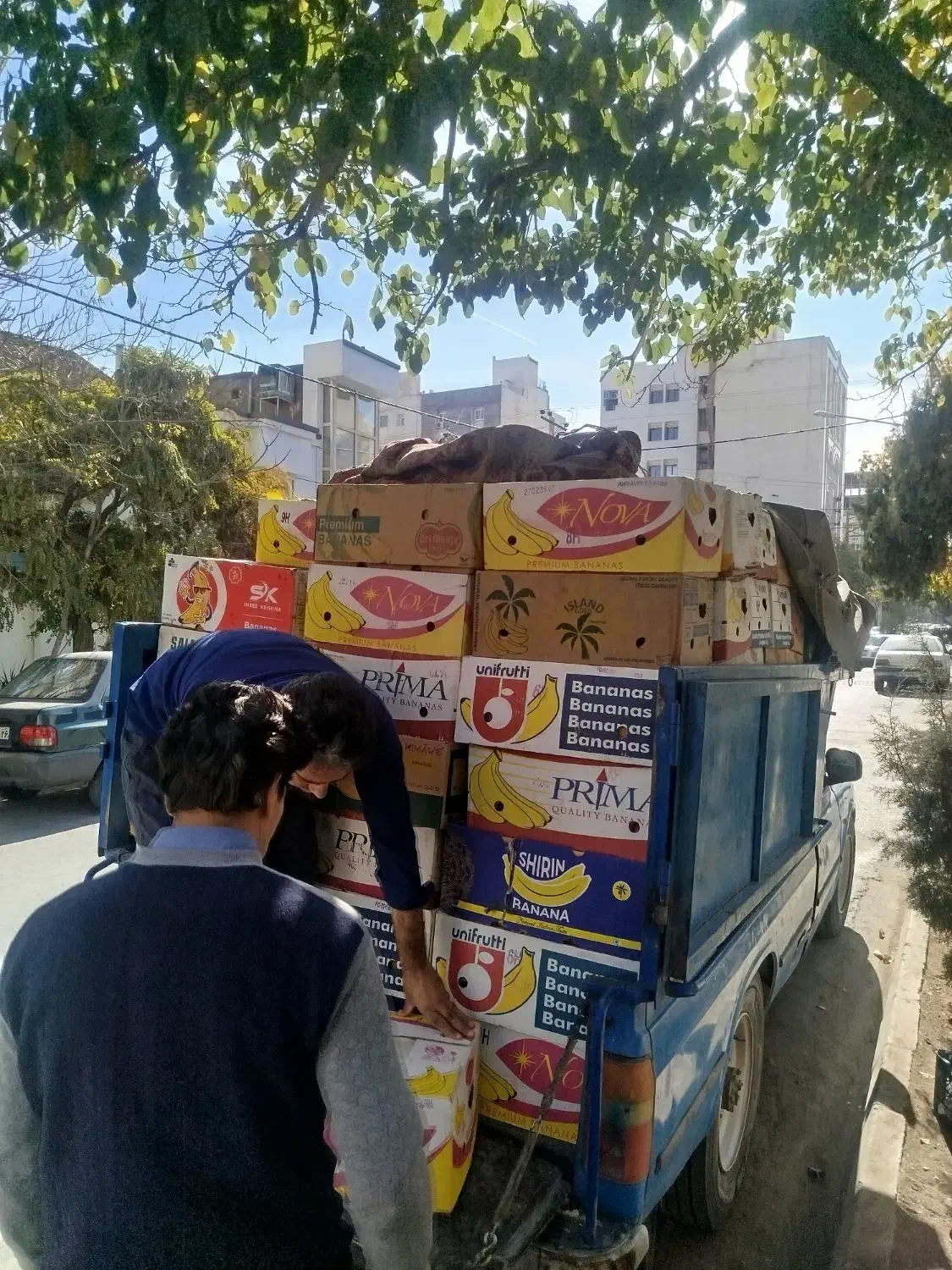 انار انار|خوردنی و آشامیدنی|مشهد, آزادشهر|دیوار