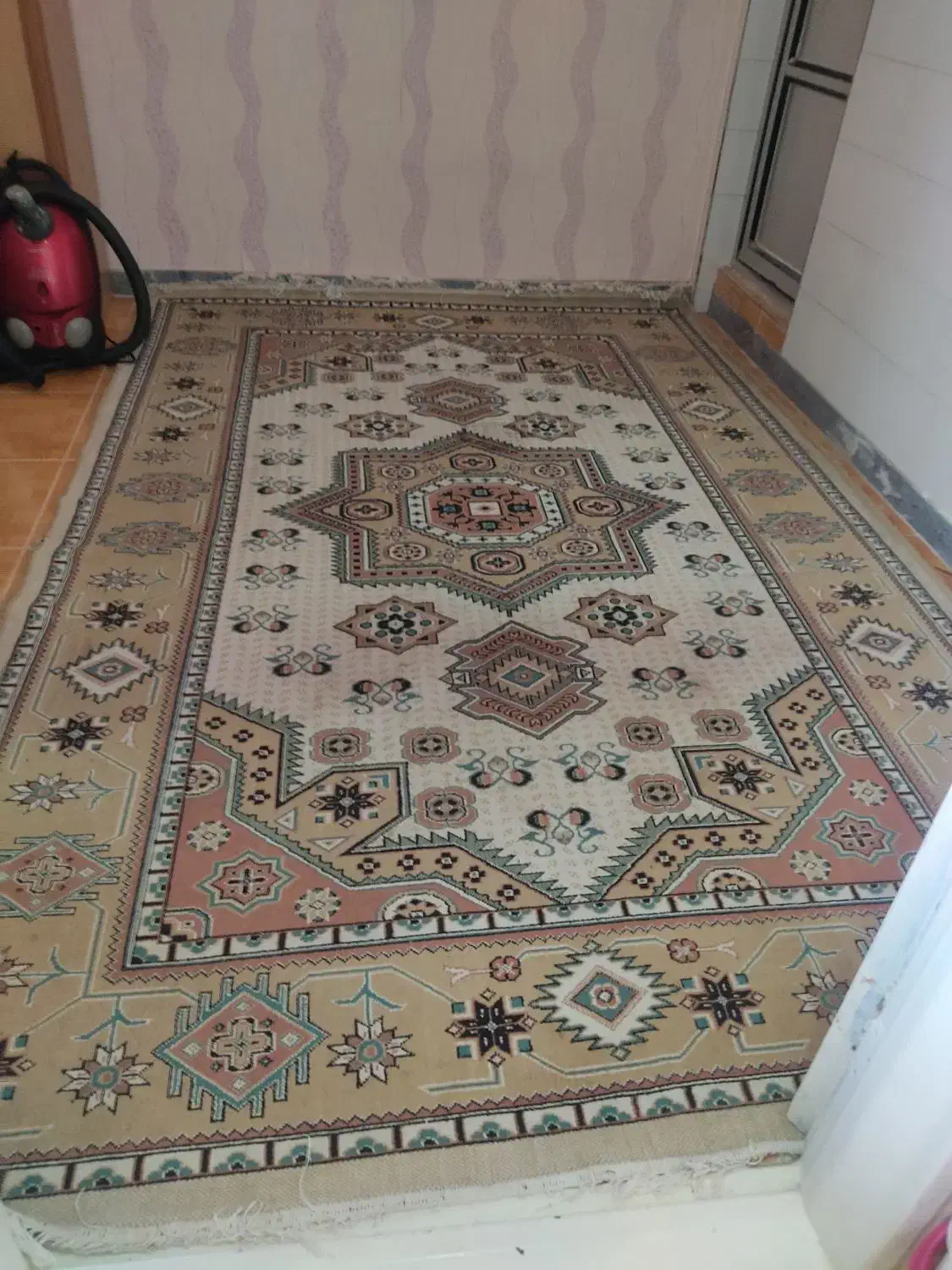 گلیم ۶ متری|گلیم، جاجیم، گبه|قزوین, |دیوار