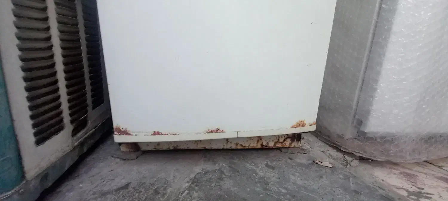 یخچال وفریزر سایوان|یخچال و فریزر|کرمانشاه, |دیوار