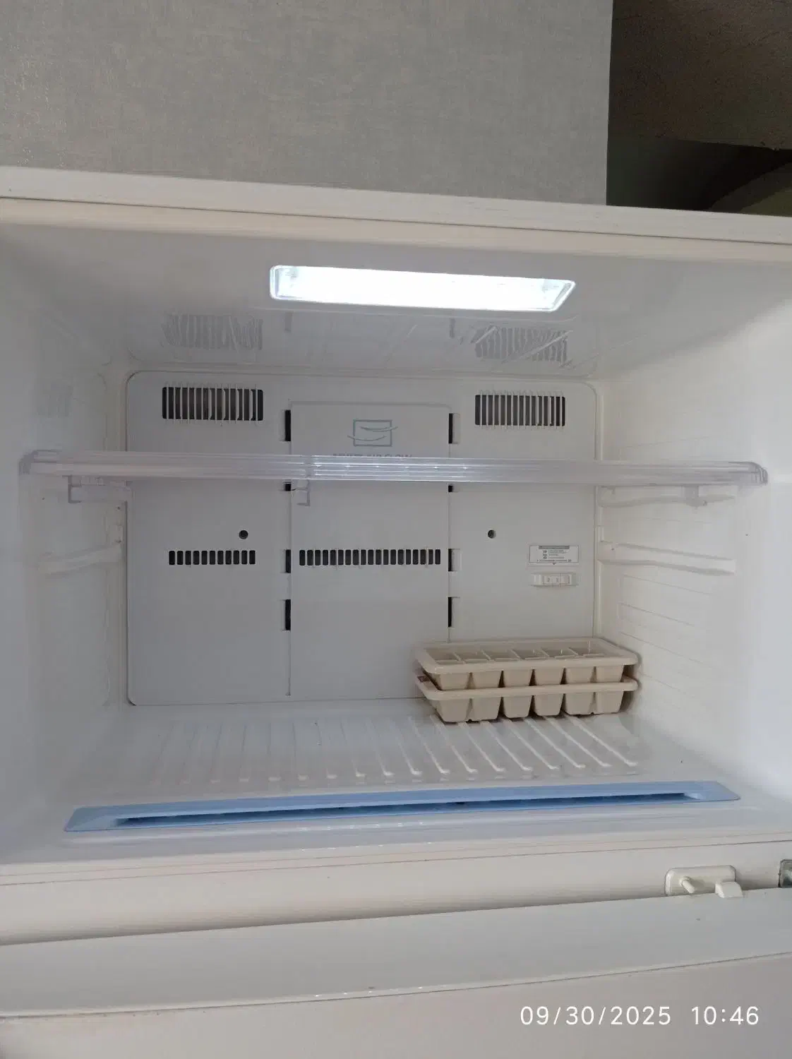 یخچال فریز|یخچال و فریزر|رشت, چله خانه|دیوار