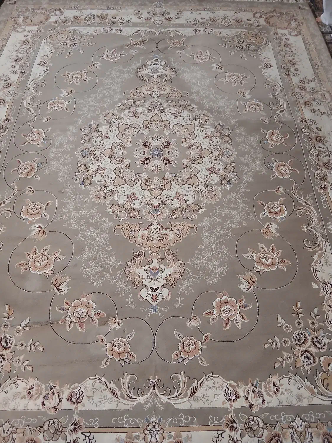 فرش ۱۲ متری رنگ گردویی|فرش|قم, انسجام|دیوار