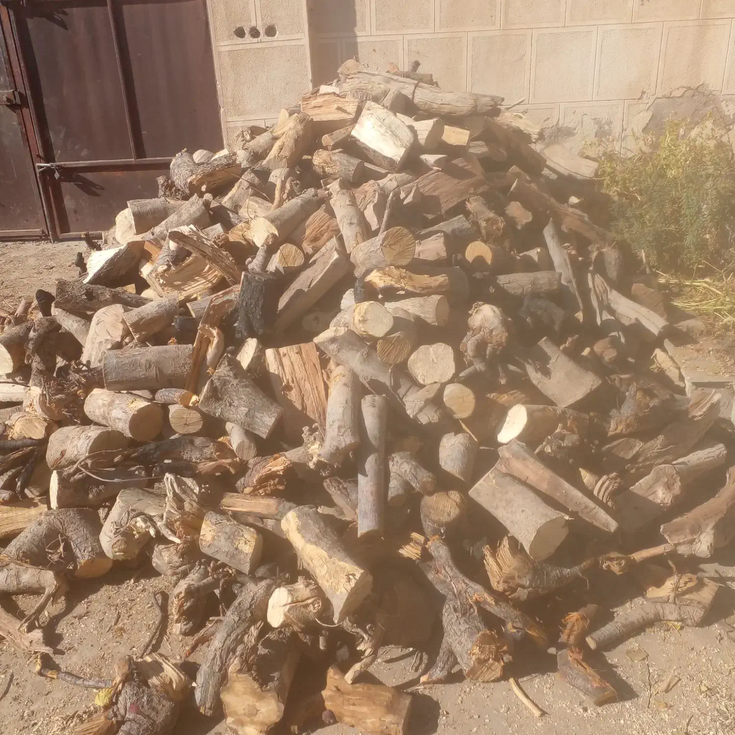 چوب خرد شده|خدمات باغبانی و درختکاری|شاهرود, |دیوار