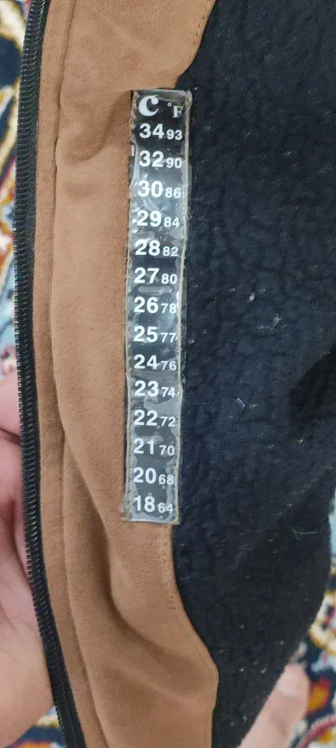 کاپشن|لباس|فاضل آباد, |دیوار