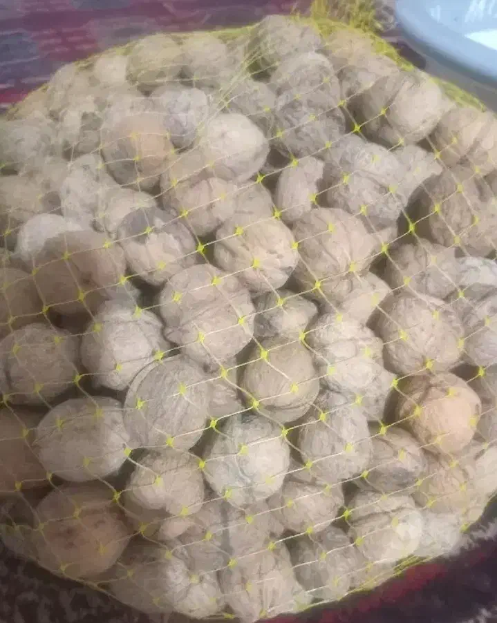 گردوی گوغر فروشی|خوردنی و آشامیدنی|کرمان, |دیوار