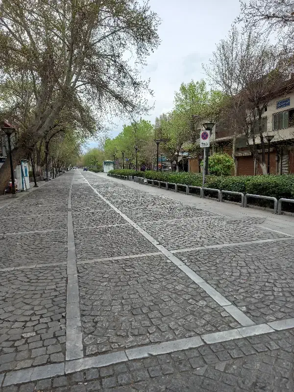 پیاده روی و ورزش|فعالیت داوطلبانه|یزد, |دیوار