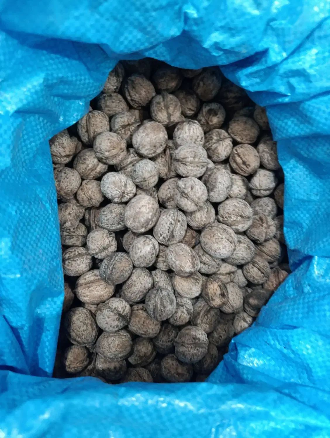 گردو درجه یک خوش طعم|خوردنی و آشامیدنی|نقده, |دیوار