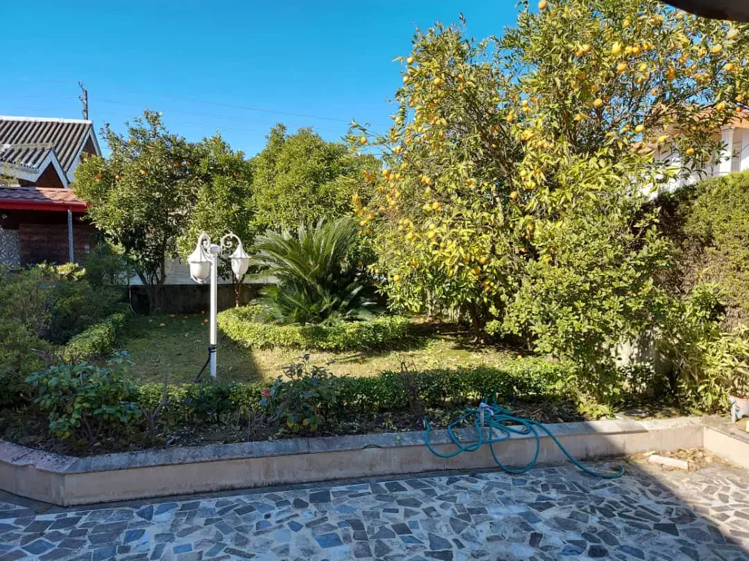 فروش زمین ۳۴۵متر سندتک برگ پول لازم|فروش زمین و ملک کلنگی|سلمانشهر, |دیوار