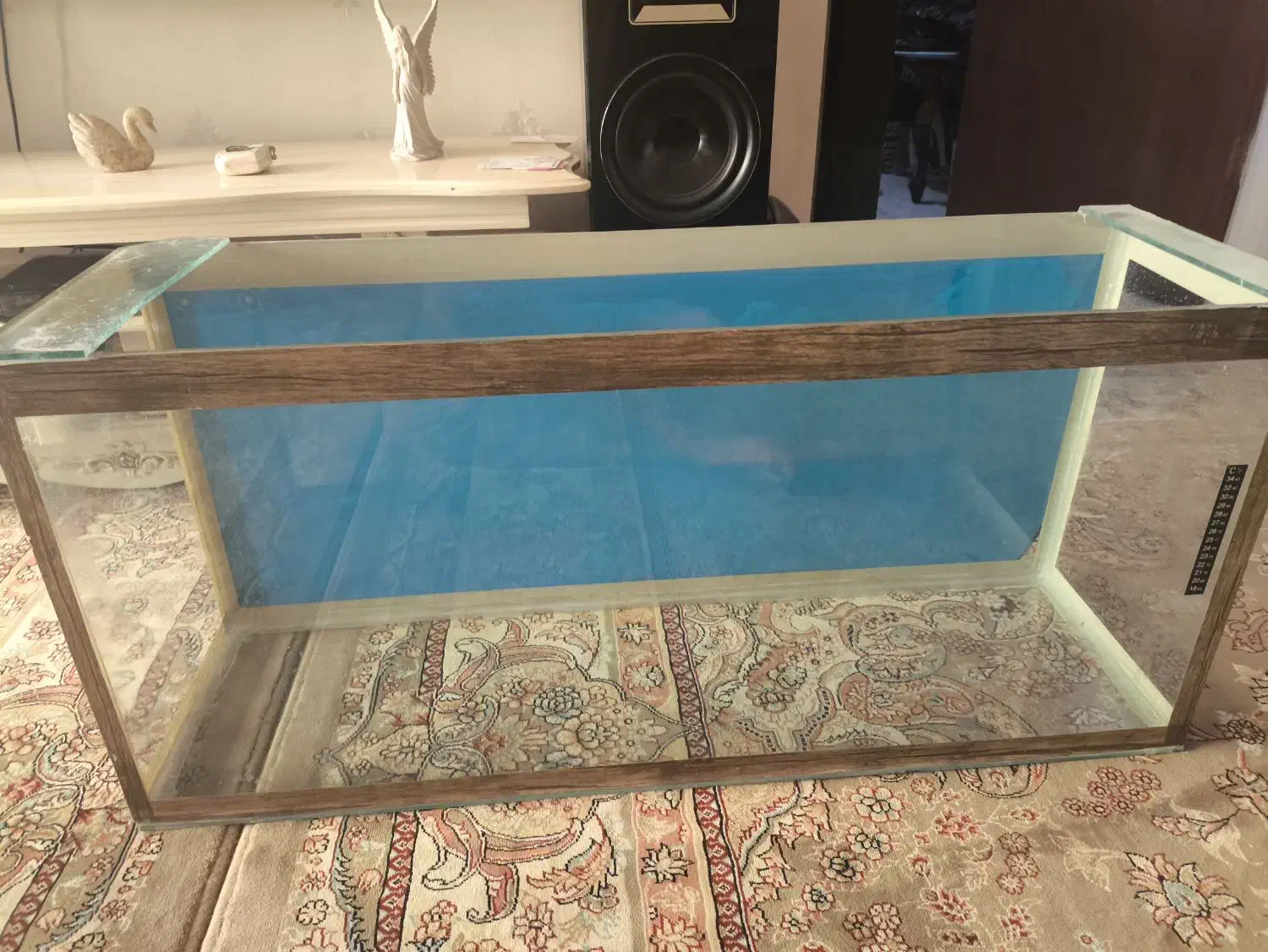 آکواریوم|ماهی|محمدشهر, ولدآباد|دیوار