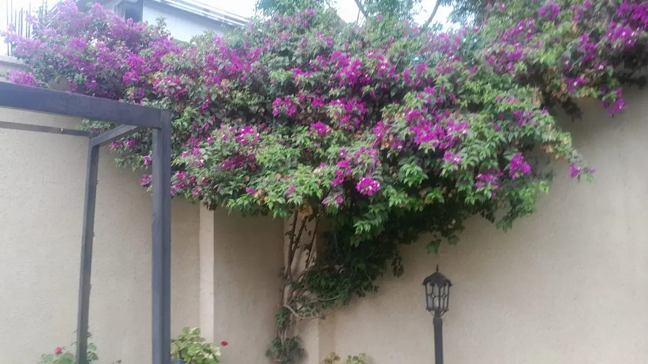 سرایداری در توسکا تک|استخدام سرایداری و نظافت|رویان, |دیوار