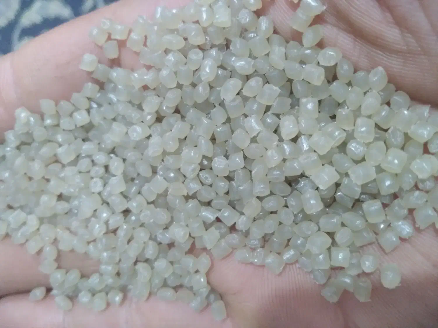 گرانول هاش سفید شفاف وعسلی روشن|عمدهفروشی|ری, فیروزآباد|دیوار