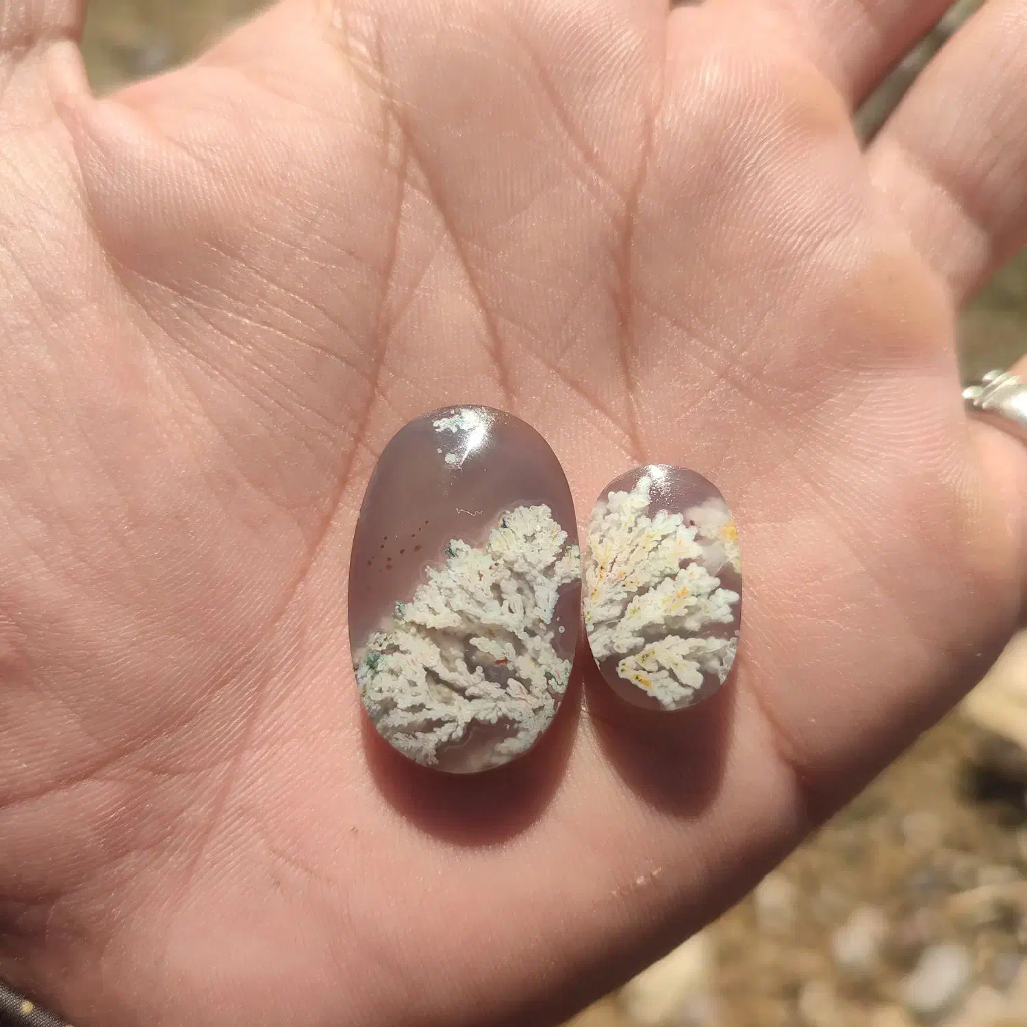 انگشتر|جواهرات|نورآباد, |دیوار