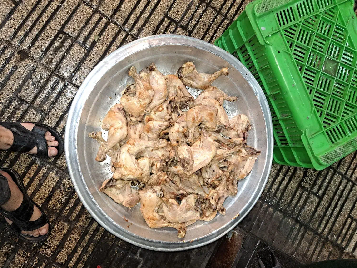 اشپزی و پخت انواع غذای نظری رایگان|خدمات پذیرایی، مراسم|تهران, امیریه|دیوار