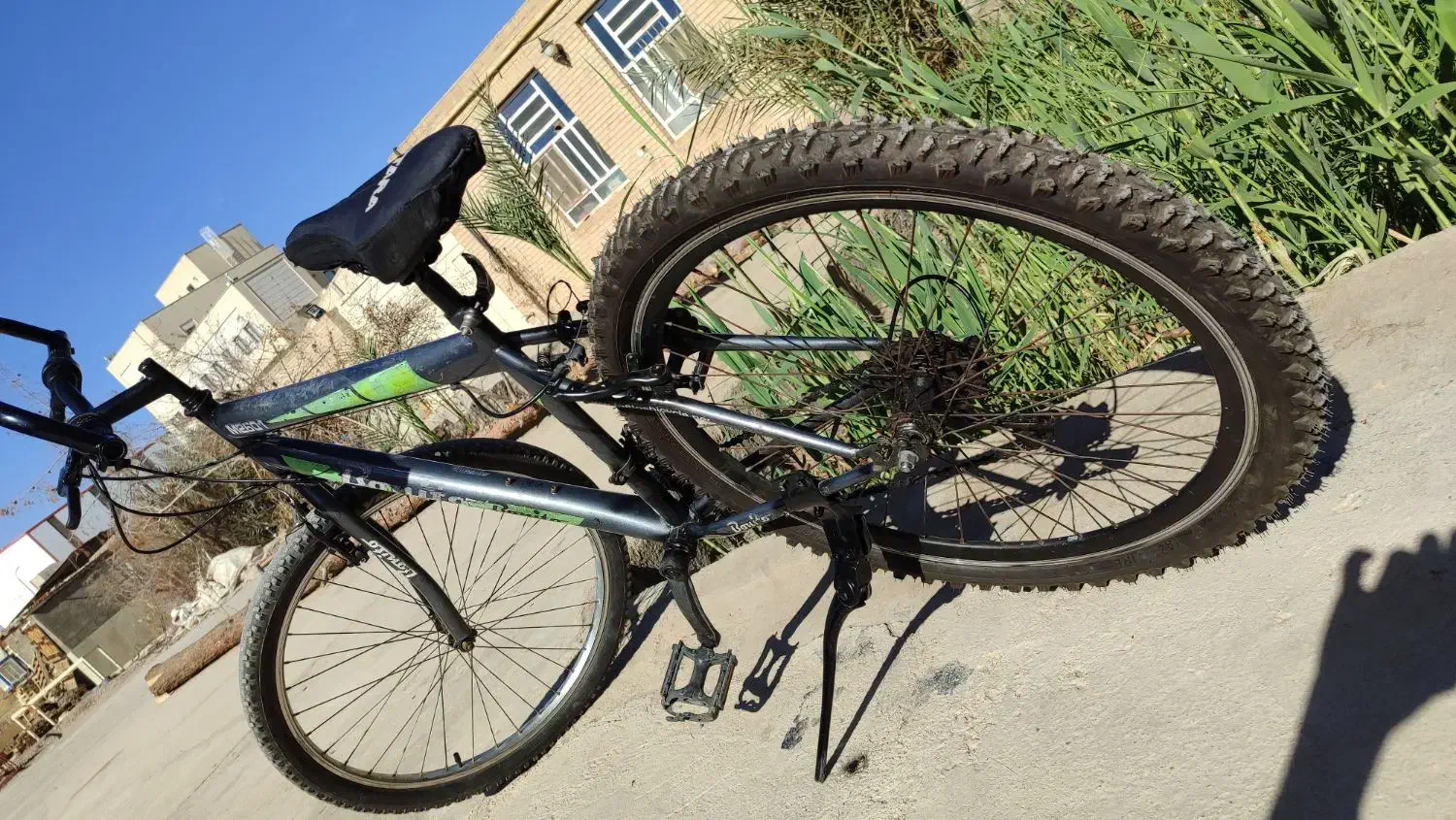 دوچرخه|دوچرخه، اسکیت، اسکوتر|زارچ, |دیوار