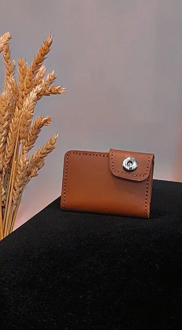 جا کارتی|کیف، کفش، کمربند|اردبیل, |دیوار