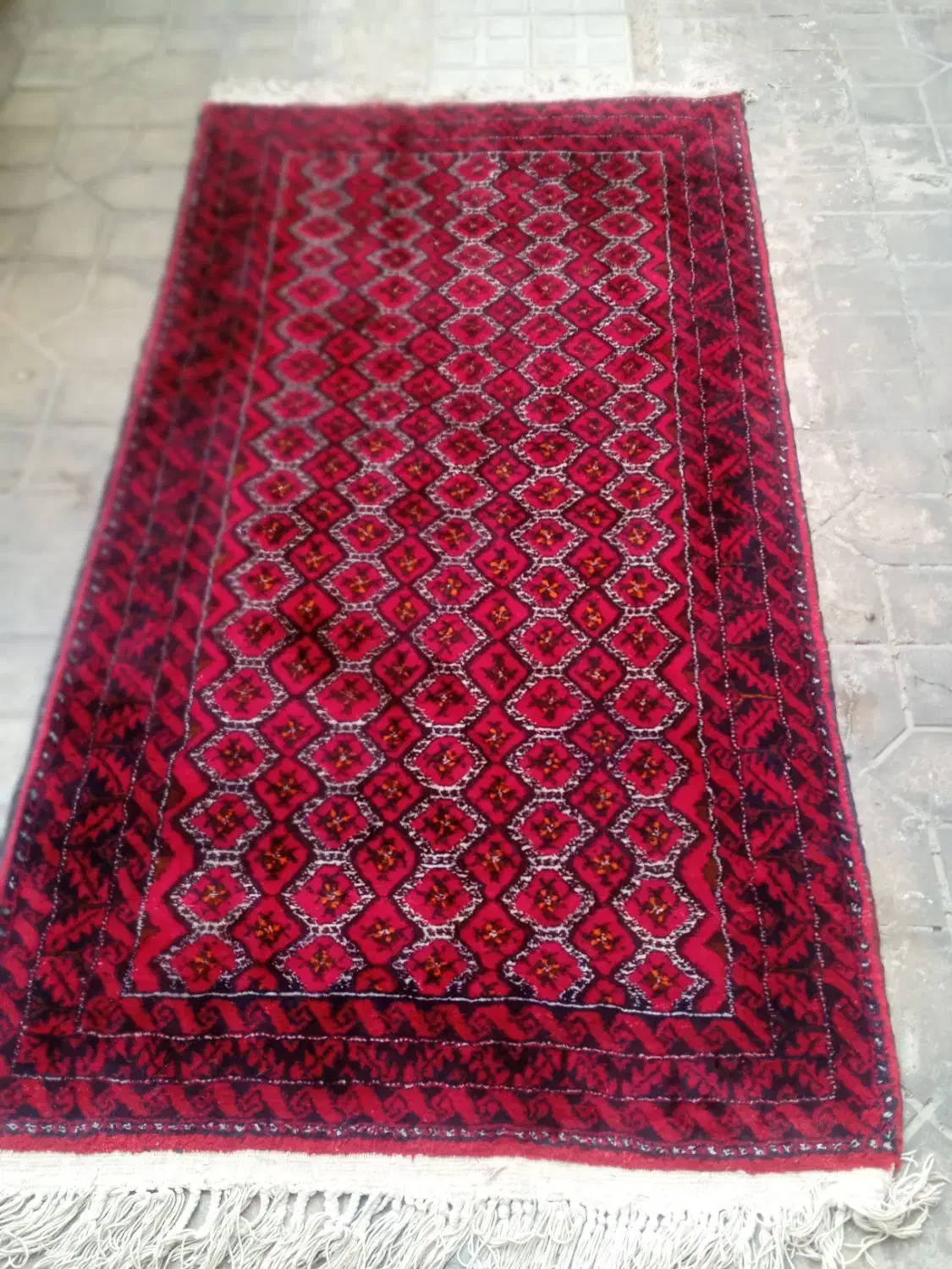 قالیچه دستباف نو|فرش|تربت‌حیدریه, مظفریه|دیوار