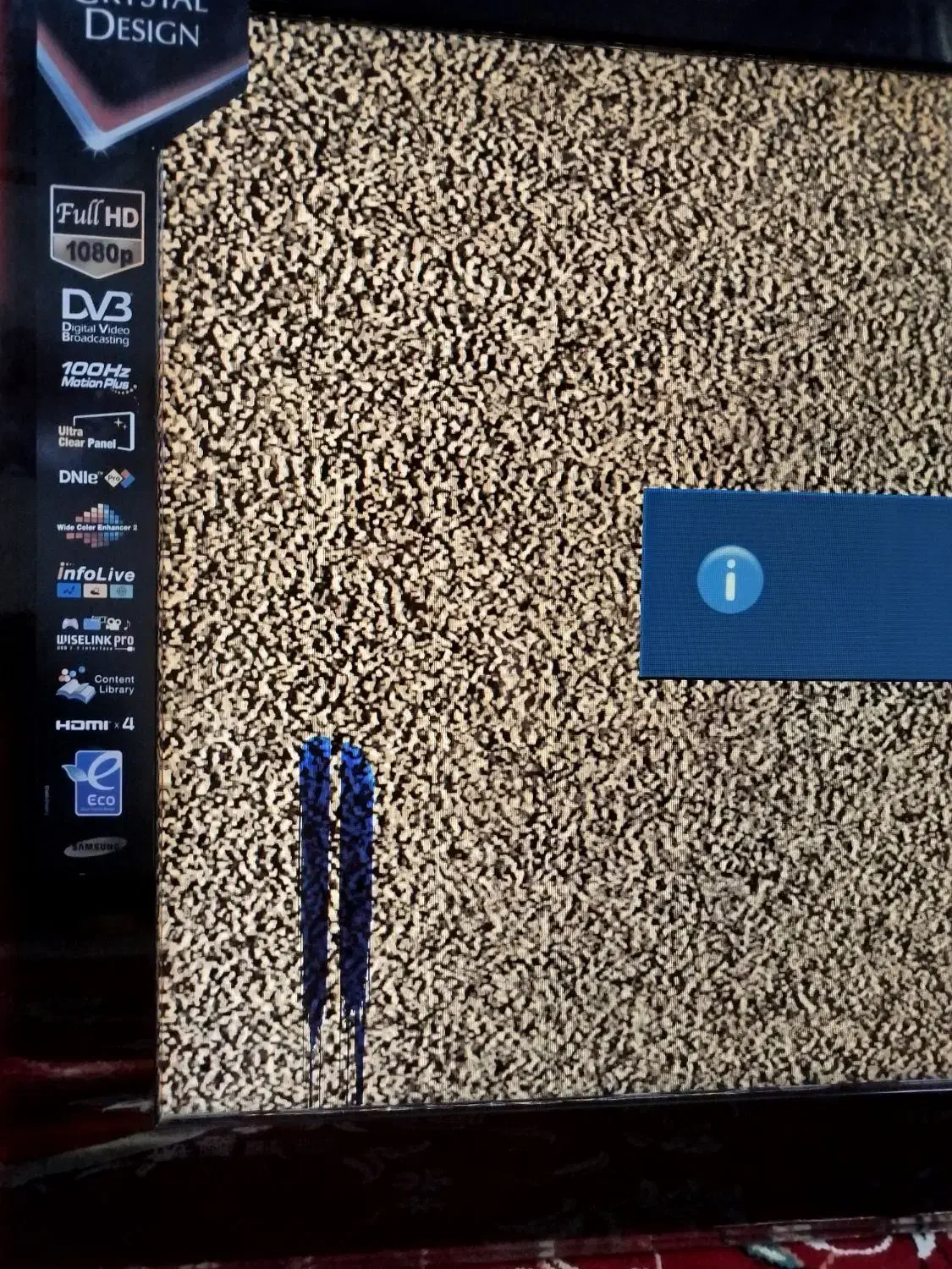 تلفزیون|تلویزیون و پروژکتور|قشم, |دیوار