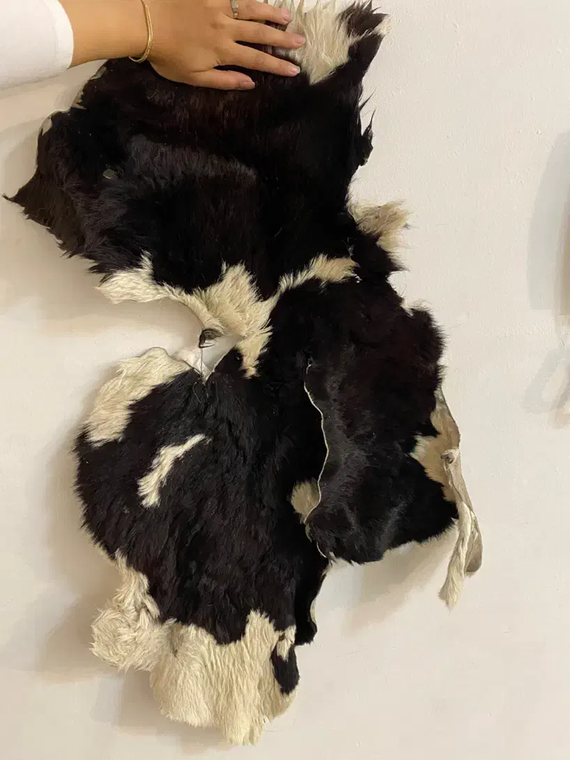 پوست گاو|پادری|تهران, پونک|دیوار