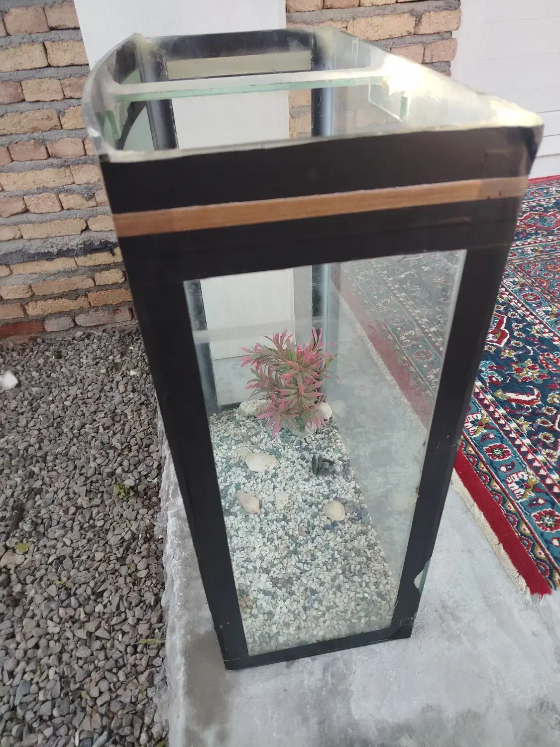 آکواریوم ماهی وآبزیان|ماهی|پارس‌آباد, |دیوار