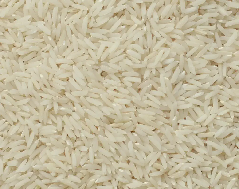 برنج هاشمی|خوردنی و آشامیدنی|رشت, بیجارپس|دیوار