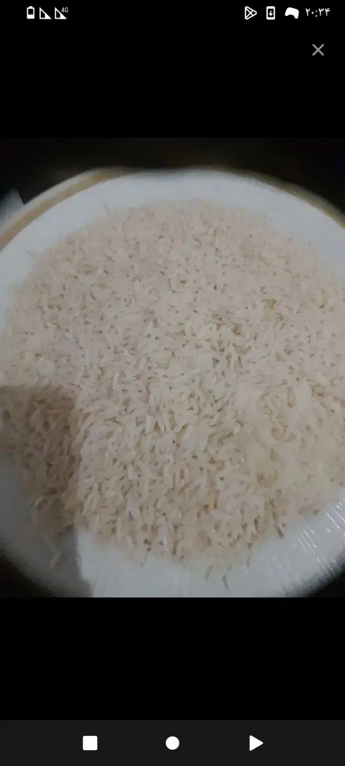 شاه طلای گیلان شاه برنج هاشمی|خوردنی و آشامیدنی|رشت, لاکان شهر|دیوار